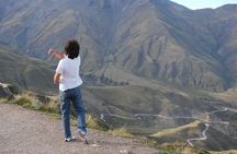One Day Tour of Cachi and Calchaquí Valleys from Salta