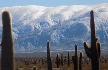 One Day Tour of Cachi and Calchaquí Valleys from Salta