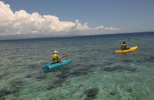 Fijian Islands and Snorkel Full-Day Whales Tale Cruise including Beach BBQ Lunch