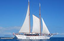 Fijian Islands and Snorkel Full-Day Whales Tale Cruise including Beach BBQ Lunch