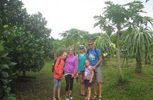 Mekong Delta and Cai Rang Floating Market 5-Hours Tour