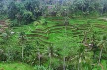 Full Day Bali Private Top Tour Attractions 10-12 hours