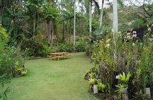 Vuda Lookout, Vesisei Village, Market, Temple & Garden of Sleeping Giant Tour