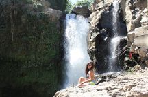 Bali Breathtaking Waterfall Tour (Private & All-Inclusive)