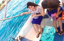 Glass Bottom Boat