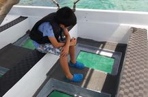 Glass Bottom Boat
