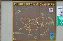 Pilanesberg National Park Day Tour from Pretoria, every SATURDAY