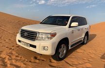 Morning Desert Dune Bashing Safari