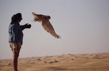 Afternoon Dubai Falconry Safari 