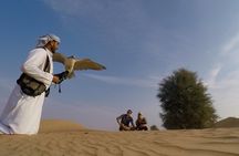 Afternoon Dubai Falconry Safari 