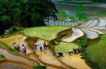 3 Days SAPA Real Experience at Local People House