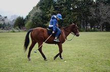 Polo day in Pilar, Buenos Aires