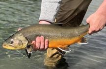 Private Lake and River Fishing Tour from Reykjavik