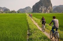 Hoa Lu Tam Coc Full Day Tour: Small Group Tour & Buffet Lunch