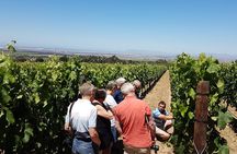 Stellenbosch Valley. Private wine tour with winemaker in Swedish or English.