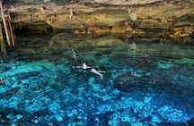 Tulum and Cenote Casa Tortuga Day Trip