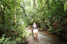 Private and Customized Horseback Riding Adventures