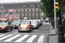 MX CITY Private Tour of the historic center and visit of the ANTHROPOLOGY MUSEUM