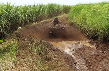 Private Customized ATV Rides and Hot Springs Experience