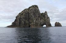 The Bay of Islands Luxury Day Tour From Auckland