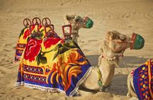 Dubai Dune Buggy Safari - Private Transfer