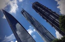 Shanghai Private Day Tour of Pudong New Area including Oriental Pearl Tower