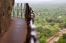 Private Day Trip to Sigiriya, cave and National park Safari Tour 