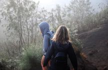 Mount Batur Hiking With Terraced paddy Field Visit