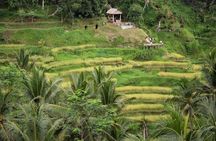 Ubud Village, with Rice Terrace And Waterfall Visit