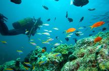 Marmaris & Icmeler Scuba Diving