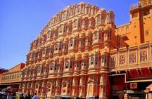 7-Days Golden Triangle with Ranthambore National park tour