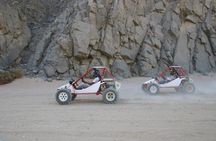 El Gouna Sahara Dune Buggy Morning Adventure