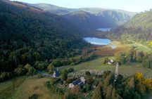 Dublin: Glendalough, Wicklow, Kilkenny and Sheepdog demonstration