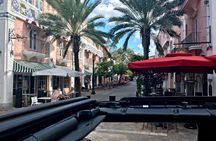 Miami: History through Architecture Private Tour with Transport
