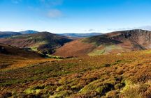 Dublin: Glendalough, Wicklow, Kilkenny and Sheepdog demonstration