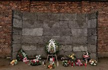 Auschwitz-Birkenau and Wieliczka Salt Mine Day Tour from Krakow with private car
