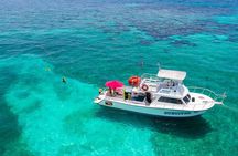 Key Largo Snorkeling Tour - rental mask, fins and vest INCLUDED