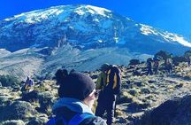 6 days climbing mountain Kilimanjaro, Machame route