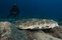 Make a private Try Dive, for your first Scuba experience!