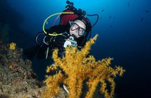 Make a private Try Dive, for your first Scuba experience!