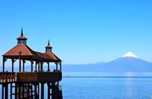 Premium Small-Group Half day Tour to Frutillar in Puerto Varas