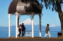 Premium Small-Group Half day Tour to Frutillar in Puerto Varas