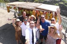 Private Amalfi coast tour and Sorrento coast up to 8 passengers