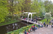 Keukenhof's Tulips and Windmills Small-Group Tour from Amsterdam