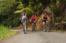 Rainforest Cycling Adventure in St. Lucia