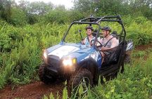Off Road Buggy Adventure