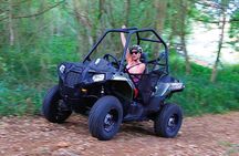 Off Road Buggy Adventure