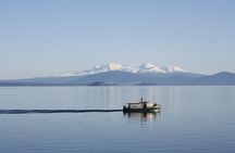 Maori Rock Carvings Scenic Cruise