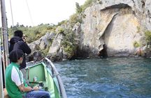 Maori Rock Carvings Scenic Cruise