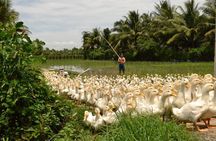 Cycling inner Mekong BenTre TraVinh CanTho 3days